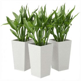 Tall Planters for Outdoor Plants Set of 3, 24 In Taper Planters with Drainage Holes, Rattan Decor Plant Pots, White