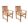Outdoor Chair Set of 2 Brown Solid Acacia wood Standard Durable