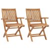 Garden Chair Set of 2 Teak