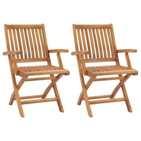 Garden Chair Set of 2 Teak