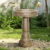 Outdoor Bird Bath for Garden Decoration - 23.8" H Concrete Bird Bath for Outside, Classical Birdbath Patio or Yard