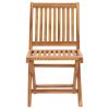 Garden Chair Set of 2 Teak Solid teak wood Medium Foldable