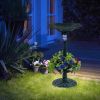 Standing Pedestal Birdbath and Feeder Combo with Lotus Leaf Bowl