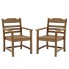 Patio Dining Chair with Armset Set of 2, HIPS Material with Imitation Wood Grain Wexture chair for Deck Pool Backyard