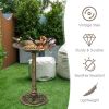 Outdoor Garden Freestanding Pedestal Bird Bath Feeder