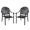 Cast Aluminum Patio Dining Chair 2PCS With Black Frame and Cushions In Random Colors